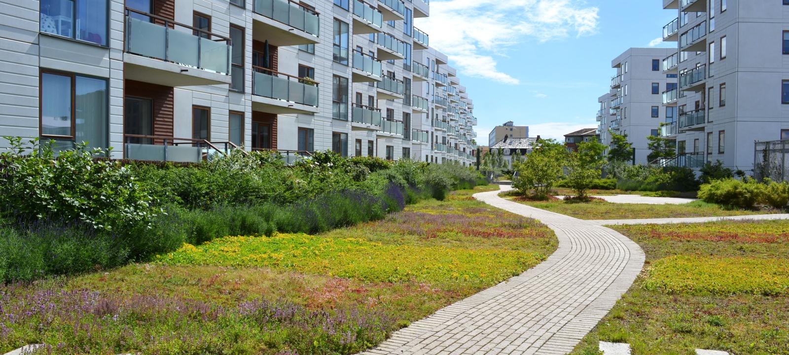 Pathway leading through a vegetated residential courtyard